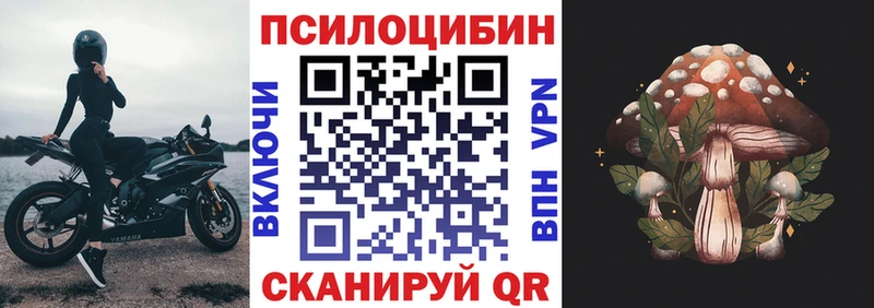 закладка  маркетплейс наркотические препараты  Псилоцибиновые грибы Psilocybine cubensis  Бирюч 